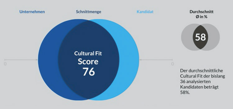 DEBA Deutsche Employer Branding GmbH,m BEratung Culturalt fit Evalueator, Score